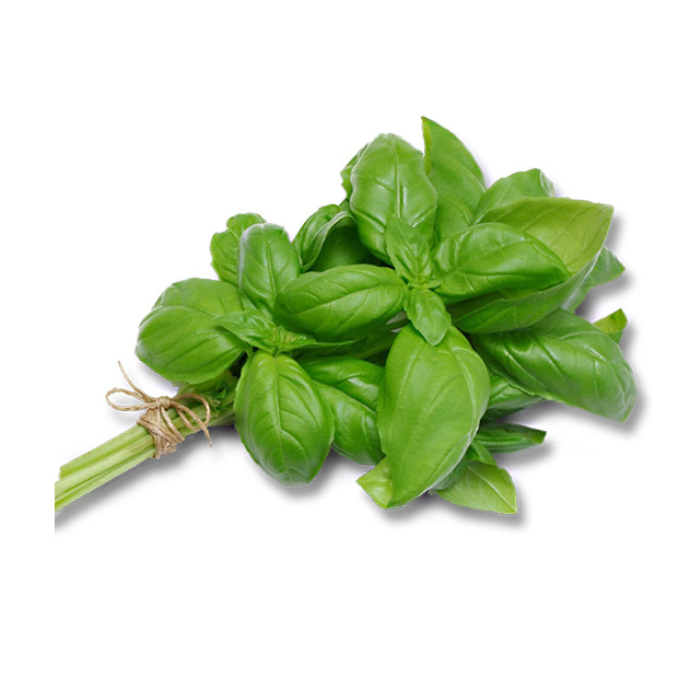 Mazzetto di Basilico