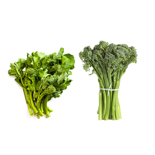 Broccoli