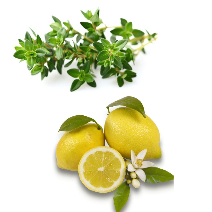 Sale aromatico Timo e Limone